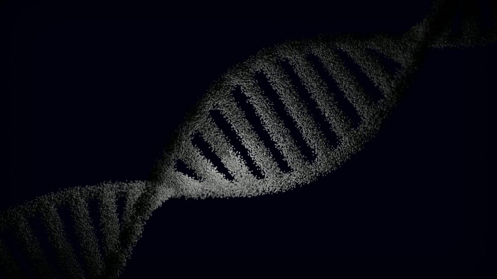 A strand of DNA in black and white. While genetic risk can be located within a DNA helix, that does not always mean a patient will develop the condition.