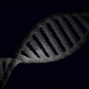 A strand of DNA in black and white. While genetic risk can be located within a DNA helix, that does not always mean a patient will develop the condition.