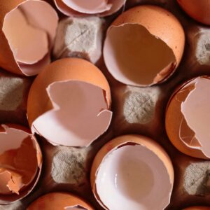 Broken eggshells in a carton. The eggshell plaintiff doctrine speaks on how plaintiffs may have conditions before an accident that impacted the outcome and that defendants should take a plaintiff as they are.
